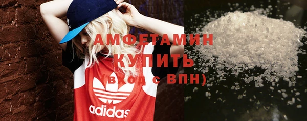 стаф Алзамай