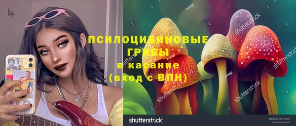 эйфоретик Алексин