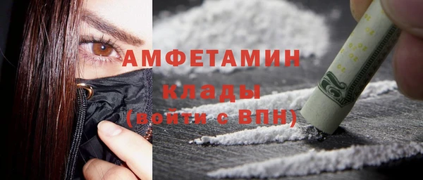 стаф Алзамай