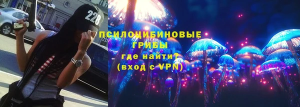 стаф Алзамай