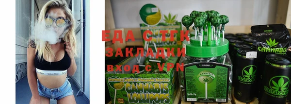 стаф Алзамай