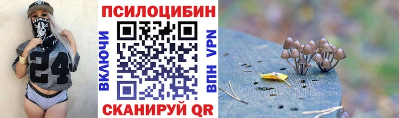 сколько стоит  Гурьевск  Псилоцибиновые грибы прущие грибы 