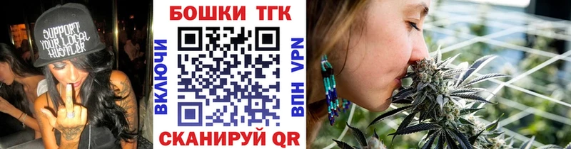 наркотики  Гурьевск  Каннабис сатива 